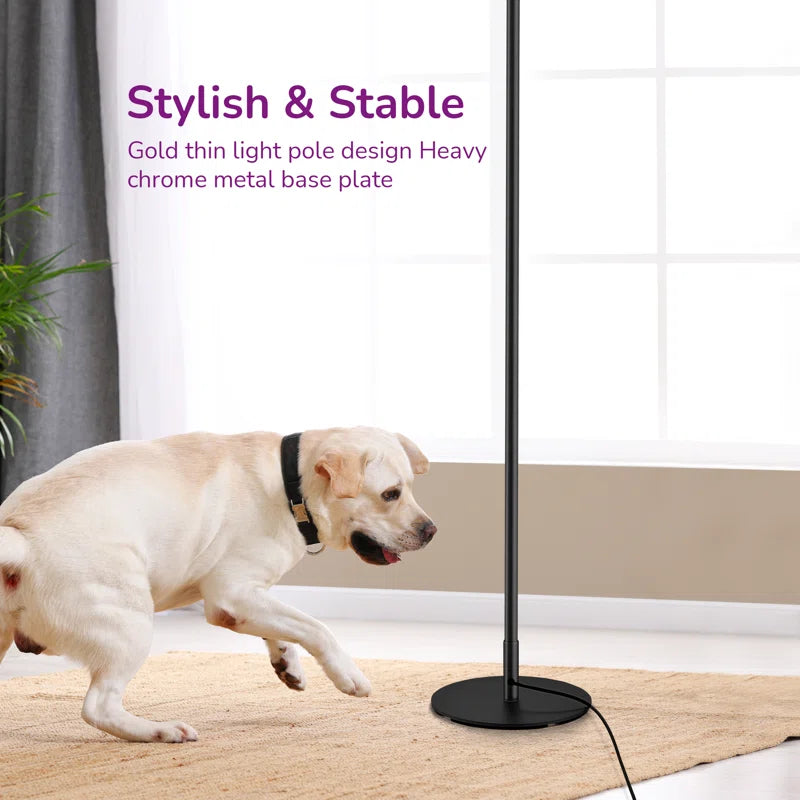 Allana 57.5" Dimmable LED Novelty Corner Floor Lamp