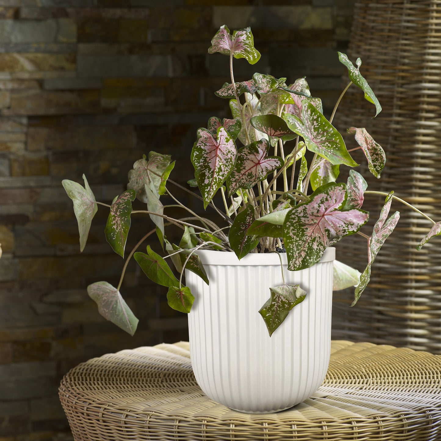 16"W X 16"L X 15.8"H Ellan White Resin Plant Pot Planter