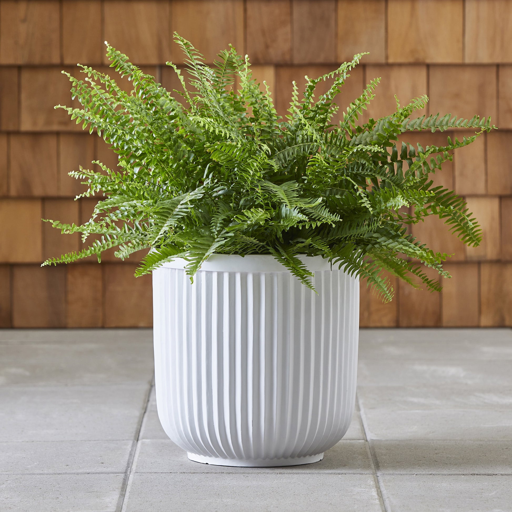 16"W X 16"L X 15.8"H Ellan White Resin Plant Pot Planter
