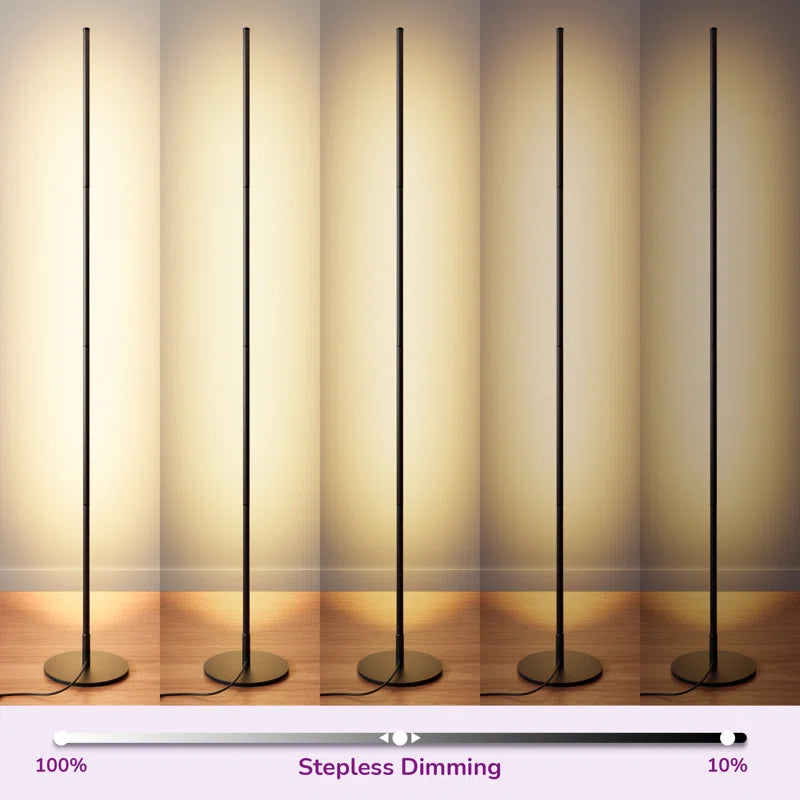 Allana 57.5" Dimmable LED Novelty Corner Floor Lamp