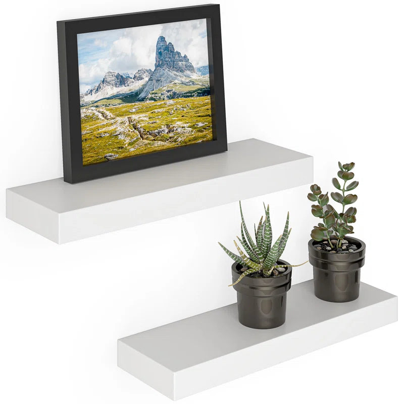 Elbur 23.6 Inch Wide Wood Floating Shelves, Wall Shelf Display Shelves for Bathroom/Kitchen/Bedroom/Living Room