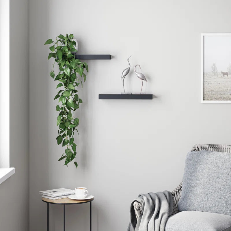 Elbur 23.6 Inch Wide Wood Floating Shelves, Wall Shelf Display Shelves for Bathroom/Kitchen/Bedroom/Living Room