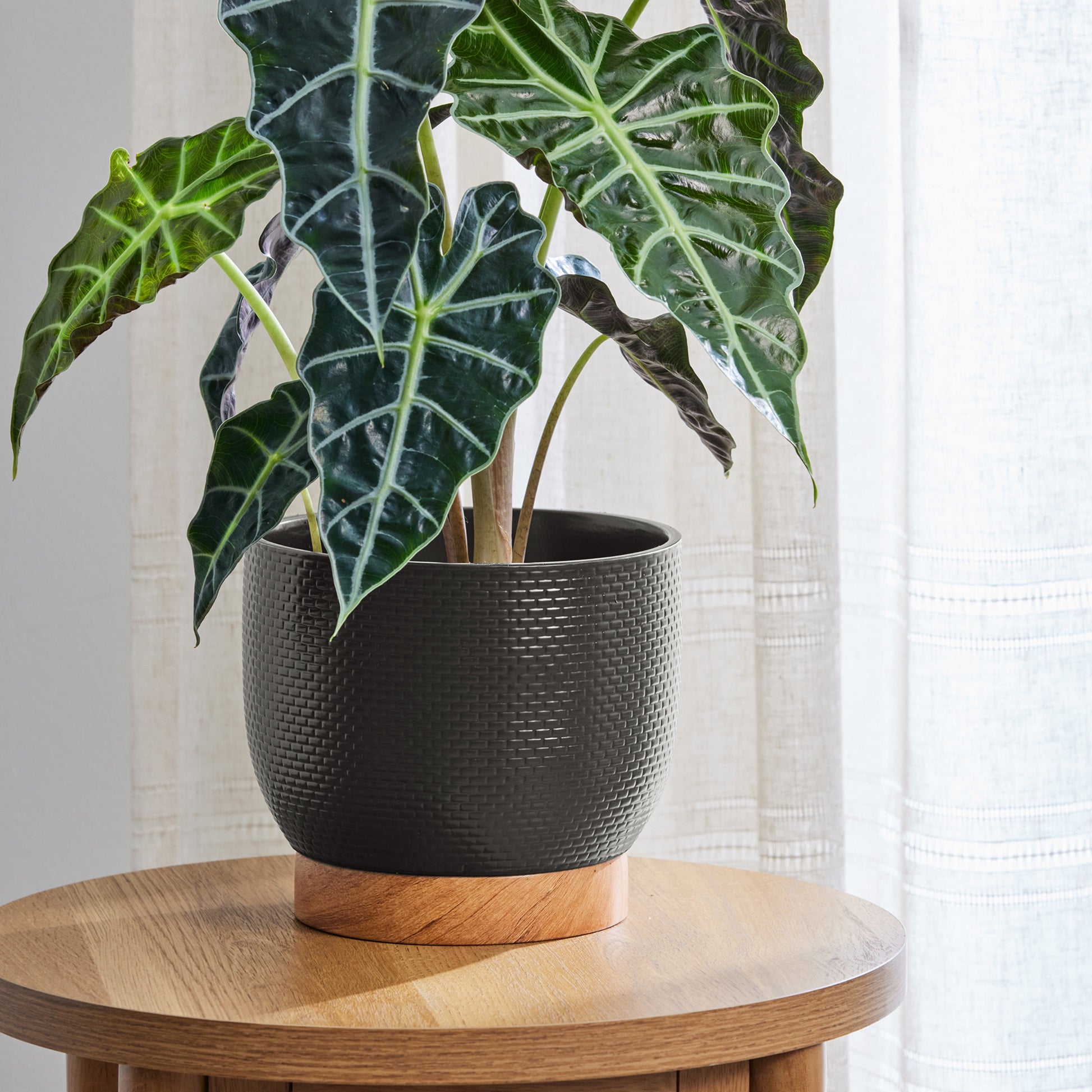 Better Homes and Gardens 8 Inch Channing Woven Black Ceramic Planter